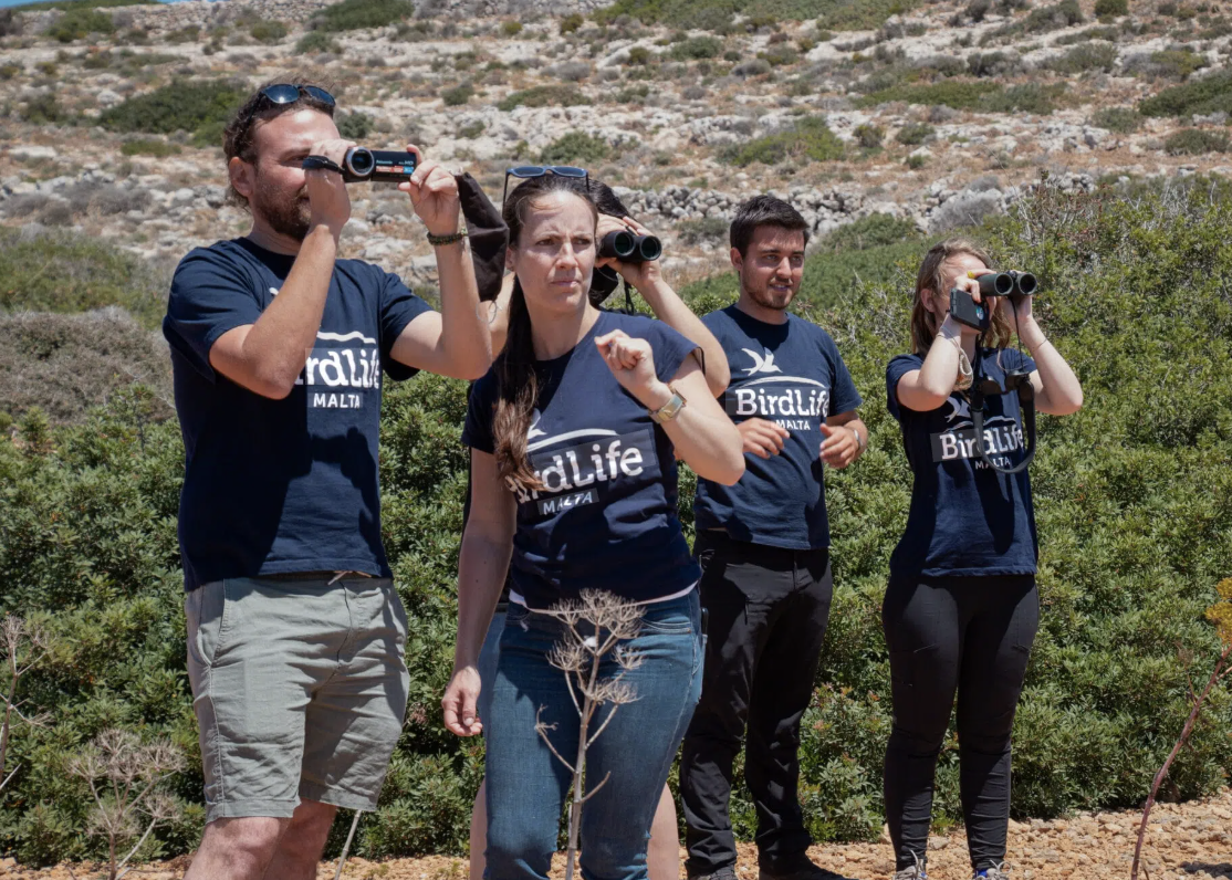 Pridruži se BirdLife Malta timu – zaposli se ili volontiraj