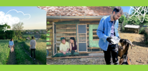 Tvoja 3 tjedna u Mađarskoj da se brineš o zemlji i kozama