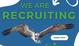 Volontiraj na Malti u prirodnom rezervatu