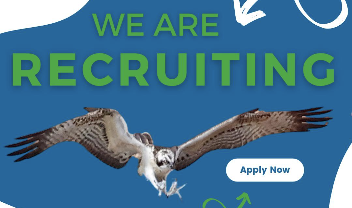 Volontiraj na Malti u prirodnom rezervatu