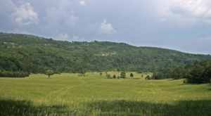 Svrati na volonterski kamp za restauraciju suhih kontinentalnih travnjaka na području Parka prirode Učka