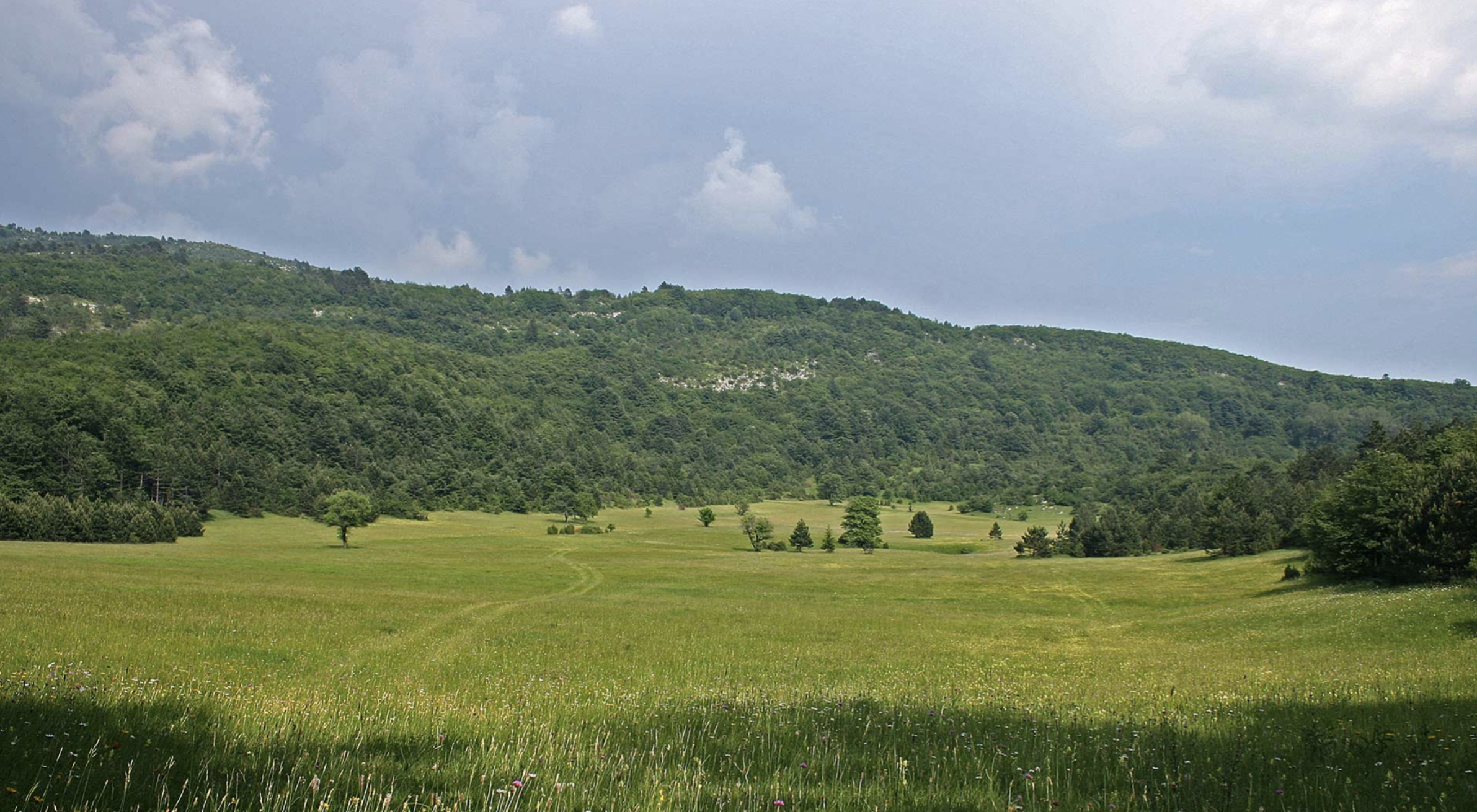 Svrati na volonterski kamp za restauraciju suhih kontinentalnih travnjaka na području Parka prirode Učka
